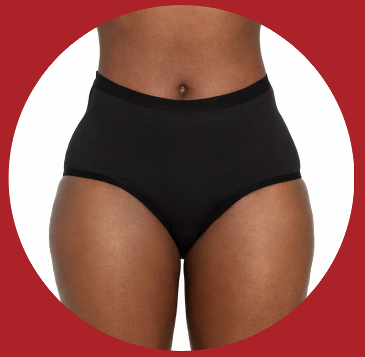 https://thepantyspot.com/wp-content/uploads/2023/03/The-Period-Company-The-High-Waisted-Period.-in-Microfiber-period-underwear.png